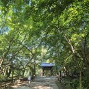 여름산행 피서지 그늘 산행 정읍 산적소굴 근처 내장산 이미지