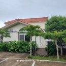 솔바람 파도소리 이미지