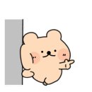 아꼬아 펫 살롱 네이버블로그