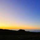 우리들애견 이미지