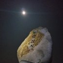 화신사 이미지