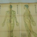 북경백침당한의원 이미지