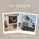 북촌민박 | 제주도 함덕해수욕장 신상 숙소 감성 독채펜션 북촌별제 4인가족 북쪽 여행
