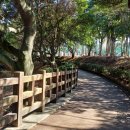 걸매생태공원 이미지