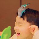 리프패럿시민공원점 이미지