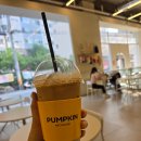 펌킨 펫하우스 서울숲 이미지