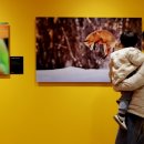 리틀아트 미니어쳐 이미지