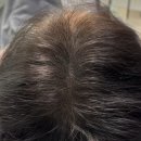 이노드 울산 이미지