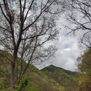 동이초등학교우산분교장 이미지