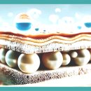 주식회사 천도 이미지