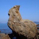 반도하숙 이미지