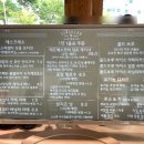 싱귤러커피