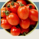 찬수농장 이미지