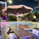 피스코이나즈카(Piscoynazca) 이미지