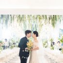 달하우스 이미지