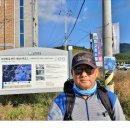 완도대교 호스텔 이미지