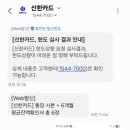 상향 | 💳 신한 카드 한도 상향 꿀팁(국세납부 후기)