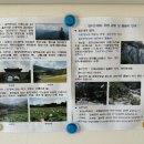 반디스테이 이미지