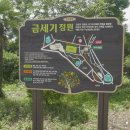 금세기정원 네이버블로그