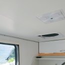 Blue dog club 이미지