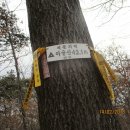 한정초교 이미지