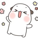 슈퍼덴트칼라 이미지