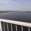 그레이트 복싱짐 이미지