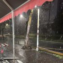 피트밀리짐 | 대구 수성구 시지 헬스장 피트밀리짐 PT 13, 14회차 후기