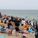 경포의휴일 이미지