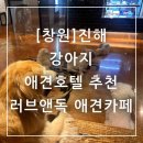 미미캣살롱&고양이호텔 | 창원 진해 러브앤독 애견카페 강아지 애견호텔 추천