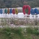 하늘목장 이미지