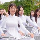 한베결혼정보 이미지