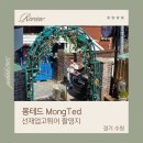 몽테드 티스토리