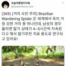 아싸PC 이미지
