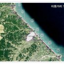 (사)강릉바우길 이미지