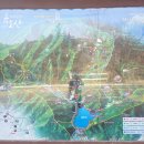 고개랑산채랑 | 금오산 등산코스 후기 ⛰️ 케이블카 타고도 쉽지 않았던 이유 (헐떡고개·약사암·혼산)