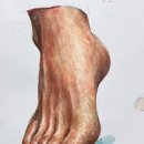 치미미술