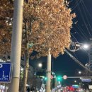 둔촌대로 | [모란/술집] 퇴사동기와 함께 오파츠, 누룩 내돈내산 후기 위치/가격/예약/추천메뉴