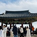 동피랑길 이미지