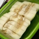 행복한일상 | [20260316 ~ 20260331] 쥬쥬의 행복한 일상❤️