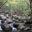 조무락계곡 이미지