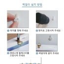 만물보세