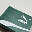 태평양어린이집 | 내돈내산 ) 퓨마 스피드캣 고 키즈 베이비 운동화 사이즈 팁 (ft. 뉴발란스 990 160 사이즈 비교)