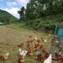 구정농장 이미지