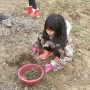 활공농장 이미지