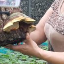 서동골농장 이미지