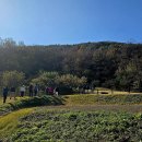 수암리 삼층석탑 이미지