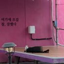 바다소리민박 | 🌅 동해바다 붉게 물드린 일출 명소, 은숙이네 민박