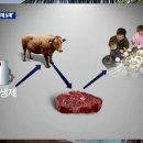 금한농장 이미지
