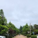 몽산포황토 이미지